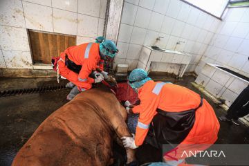 Cegah kuku-mulut, distribusi hewan ternak di Kota Bandung diperketat