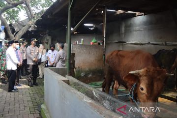 Polresta Sidoarjo batasi pengiriman hewan ternak