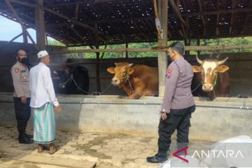 Polres Pamekasan gerakkan 178 personel untuk deteksi PMK