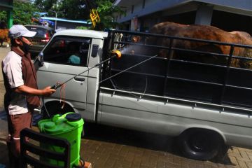 Pemkab Malang bentuk tim awasi penyebaran PMK hewan ternak