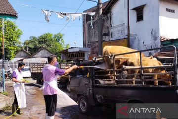 DKPP Kabupaten Kediri dirikan check point cegah penyebaran PMK