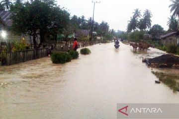 3.570 warga terdampak banjir di Desa Pinamula Kabupaten Buol