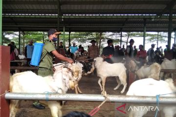 Pasar Hewan di Kudus disemprot cairan disinfektan cegah PMK