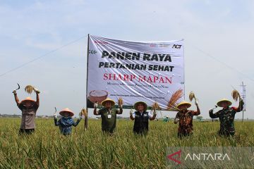 Sharp Indonesia gandeng milenial bangun ekosistem UMKM pertanian