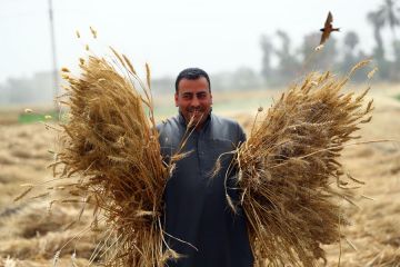 PM: Mesir tak alami krisis gandum, suku bunga acuan kemungkinan naik