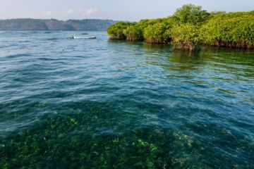 Lahan 138.661,42 hektare di perairan Bintan menjadi kawasan konservasi