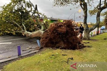 Dampak terjangan tornado di Levin Selandia Baru