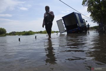 Banjir rob rendam desa di Situbondo