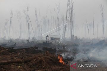 BMKG deteksi lima titik panas saat Aceh musim kemarau