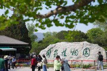 China akan percepat pembangunan sistem taman nasional dan kebun raya