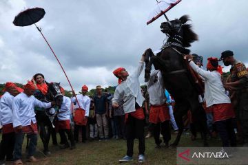 Festival Sayyang Pattuqduq menuju warisan budaya dunia