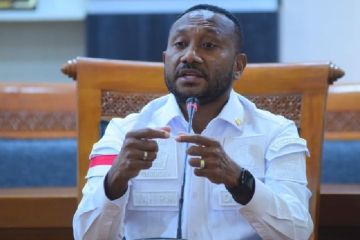 Anggota DPR: Masyarakat Papua dukung DOB