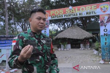 Satgas Pamtas Indonesia-TL gagalkan 10 penyelundupan di perbatasan