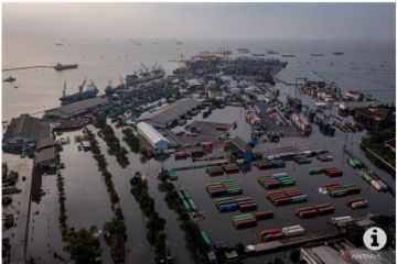 Pelindo: Terminal Petikemas Semarang kembali beroperasi