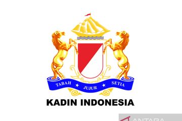 Kadin tekankan pentingnya transisi energi pada sektor industri