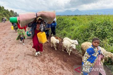 Pertempuran pecah di Kibumba, warga Kongo mengungsi ke perbatasan Rwanda