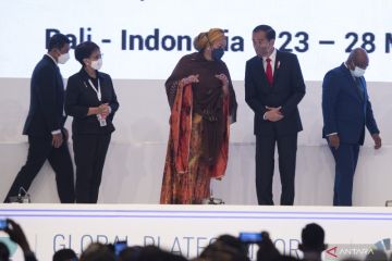 Indonesia tawarkan empat konsep resiliensi berkelanjutan kebencanaan