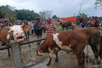 Kementan siapkan prosedur penyediaan hewan kurban sejak H-14