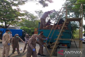 Badan Karantina Pertanian Bangkalan tolak sapi Jawa masuk Madura