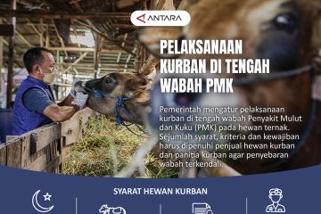 Pelaksanaan Kurban di tengah wabah PMK