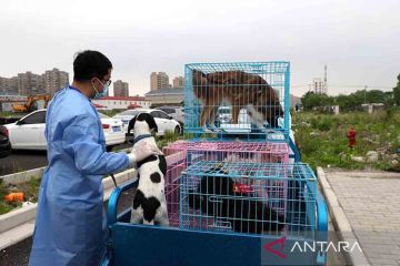 Pusat penitipan hewan bagi warga terdampak COVID-19 di Desa Lianqin Shanghai