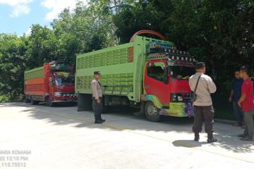 Disbunak Paser stop truk bermuatan 23 hewan ternak dari Kalsel