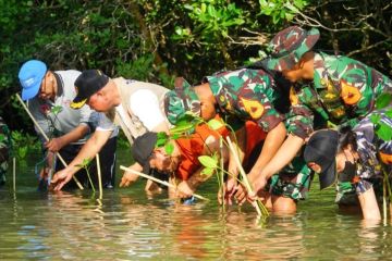 Kawasan Ekas Lombok Timur dihijaukan