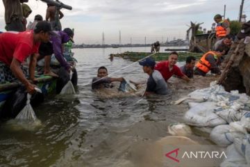 Pelindo beri relaksasi bagi pelanggan terdampak banjir rob Semarang