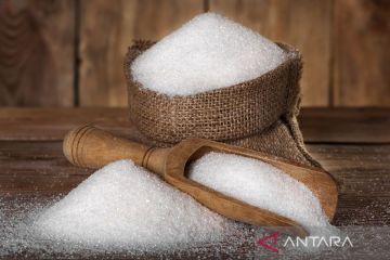 Konsumsi gula berlebihan bisa ganggu kesuburan 