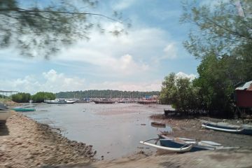 Pulau Lakkang  siap dibenahi menjadi destinasi unggulan Makassar