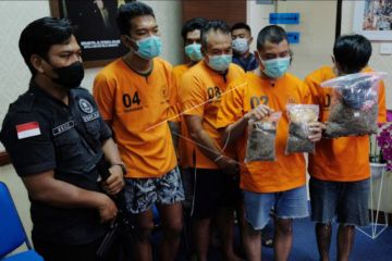 BNNP Bali ungkap kasus peredaran narkoba