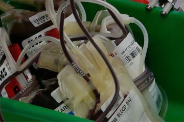 60 pekerja sosial dan disabilitas ikuti  donor darah di Temanggung