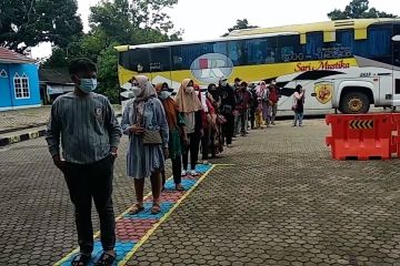 Sembilan ribu lebih pemudik belum kembali ke Jambi