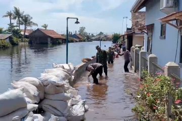 Separuh wilayah Indonesia punya program pengurangan risiko bencana