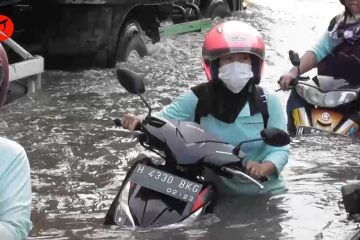 Banjir rob terjang kawasan Pelabuhan Tanjung Emas