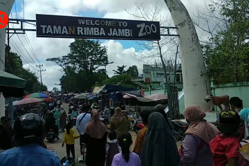 Kebun binatang Jambi jadi primadona di libur Lebaran