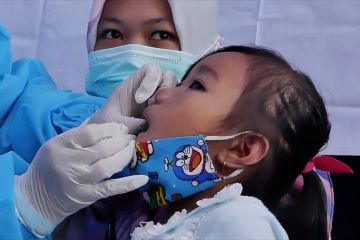 Kenali gejala dan upaya pencegahan Flu Singapura