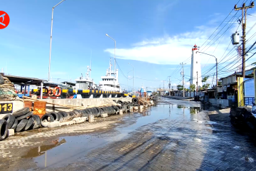 Semarang segera bangun sabuk pantai lindungi pelabuhan dari rob