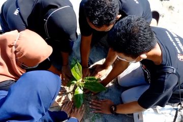 Puluhan anak di Donggala bersihkan dan tanam pohon di pantai