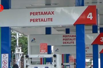 Dorong daya beli, INDEF minta pemerintah minta tunda penyesuaian harga