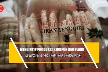 Mengintip produksi kerupuk kemplang rumahan di Bandar Lampung