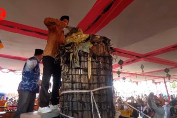 Semaraknya festival kue lopis raksasa di Pekalongan