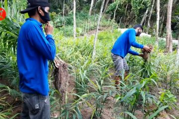 Tumbuhkan usaha kecil, BPKP NTB optimalisasi program strategis