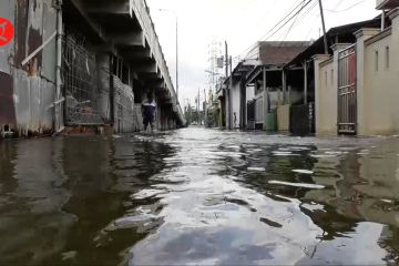 Waspadai banjir rob tujuh hari ke depan di wilayah Pantura Jateng