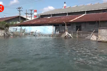 Ganjar Pranowo: Waspada pintu air yang memperparah banjir rob