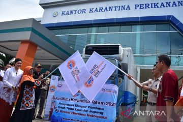 KKP percepat perizinan, ekspor ikan Maluku hanya butuh tiga hari