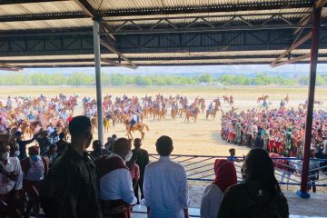 Jokowi saksikan ekshibisi pacuan kuda di Sumba Timur