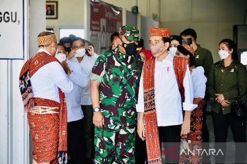 Presiden Jokowi ingin perluas tanam sorgum di NTT kurangi impor gandum