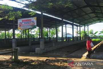 Pasar hewan di Pati ditutup usai ditemukan kasus penyakit kuku dan mulut