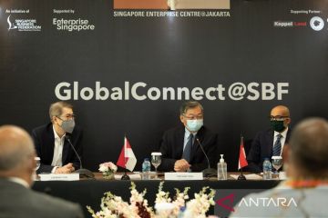 Singapura bidik Indonesia sebagai pasar bisnis utama